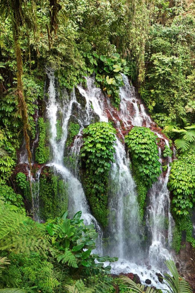 Bali waterfalls: Banyu Wana Amertha Waterfall