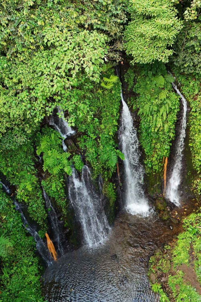 Banyu Wana Amertha Waterfall