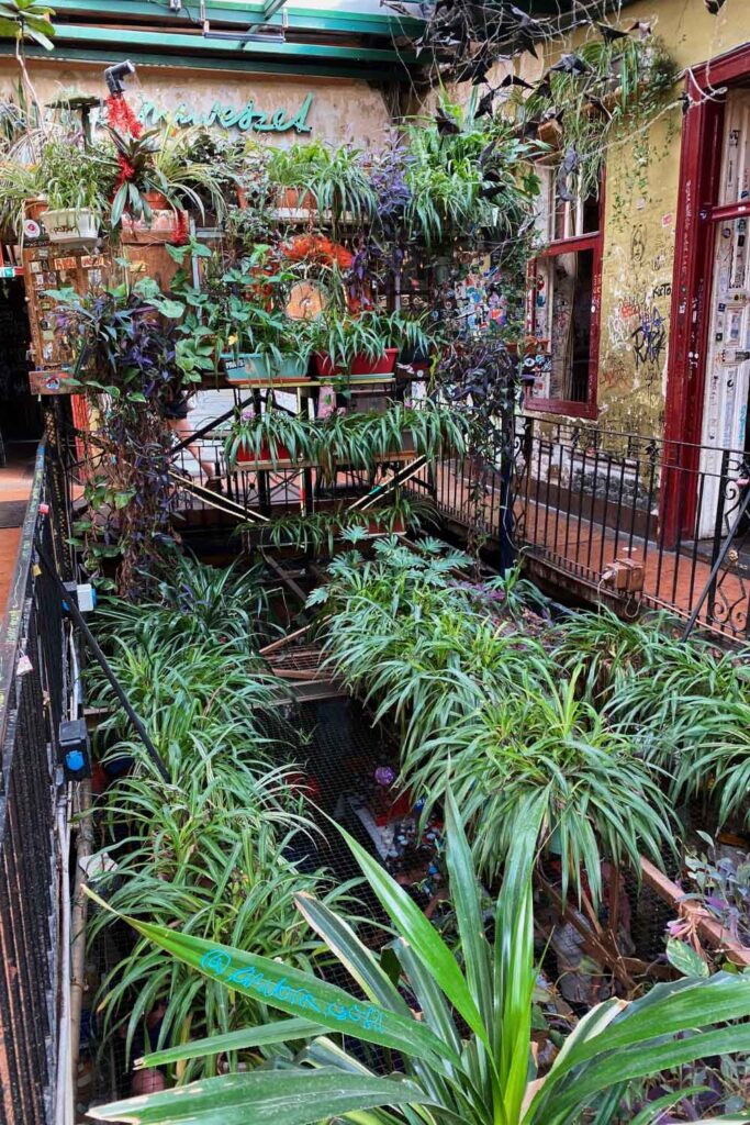 Things to do in Budapest: Szimpla Kert