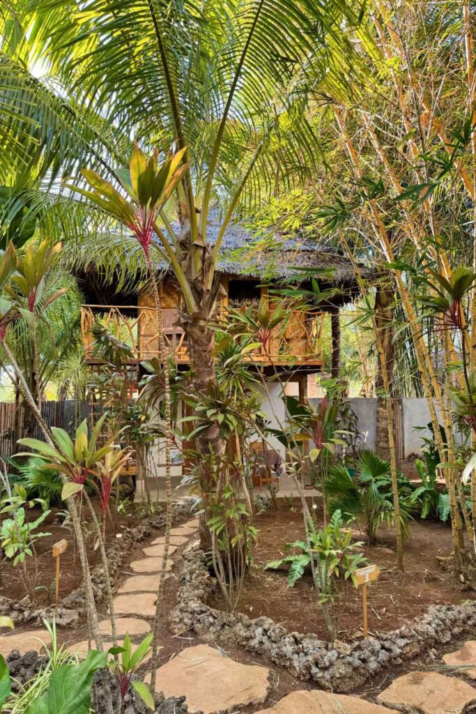 Mandala Tribe Treehouses