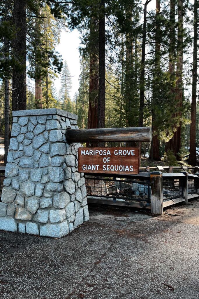 Things to do in Yosemite: Mariposa Grove of Giant Sequoias