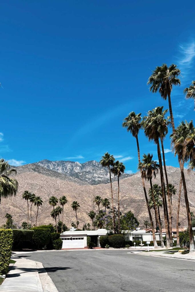 US road trip itinerary: Palm Springs