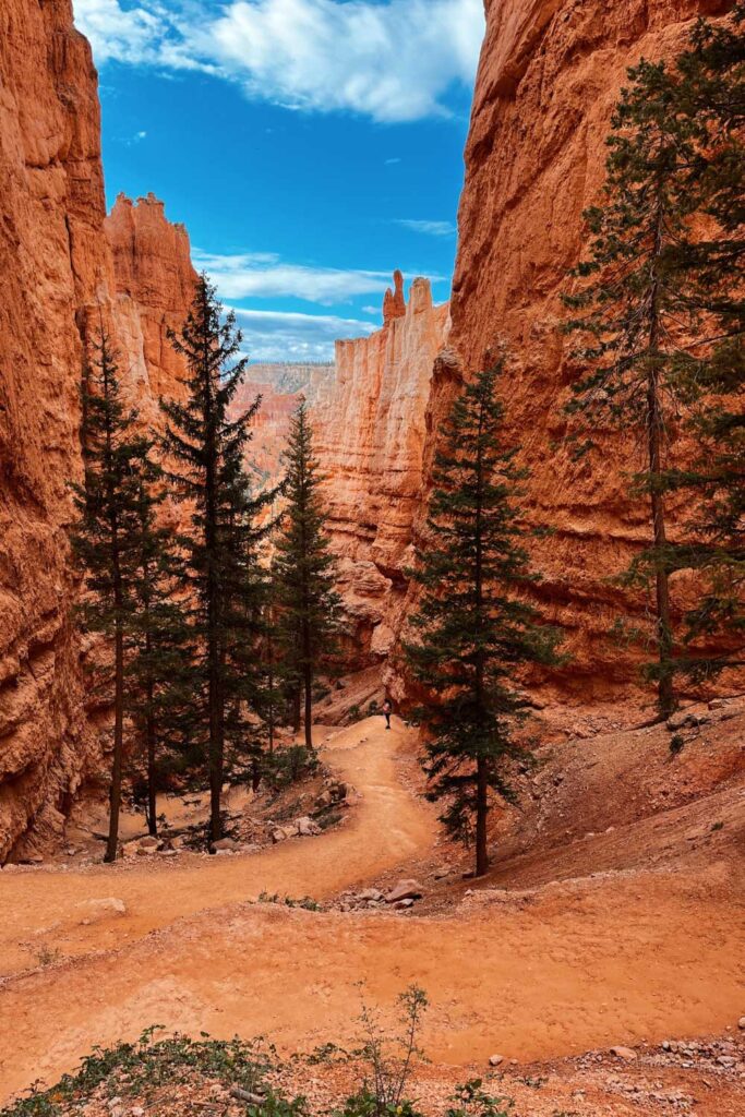 Queens Garden & Navajo Combination trail