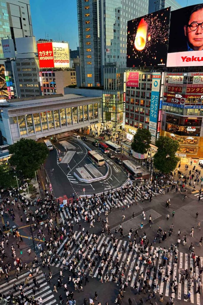 5-day Tokyo itinerary: Shibuya crossing