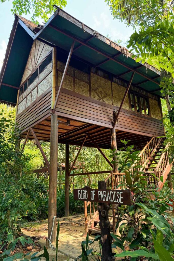 Our Jungle Camp – Eco Resort