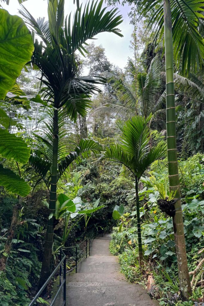 Goa Rang Reng Waterfall